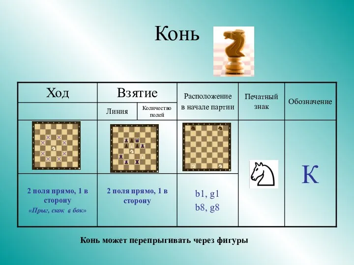 Конь Конь может перепрыгивать через фигуры