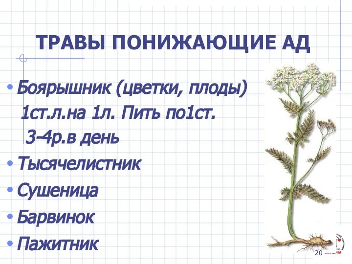 ТРАВЫ ПОНИЖАЮЩИЕ АД Боярышник (цветки, плоды) 1ст.л.на 1л. Пить по1ст. 3-4р.в день Тысячелистник Сушеница Барвинок Пажитник