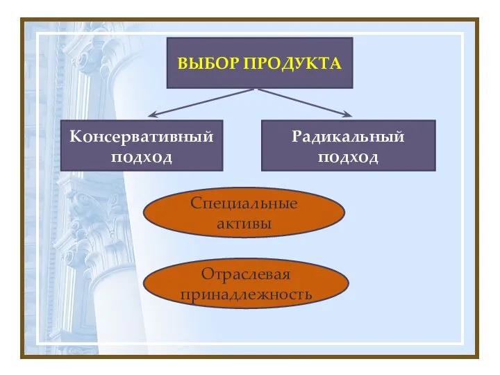 ВЫБОР ПРОДУКТА Специальные активы Отраслевая принадлежность Консервативный подход Радикальный подход