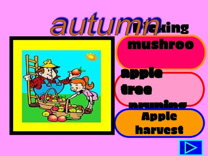 Picking mushrooms apple tree pruning Apple harvest 2 autumn