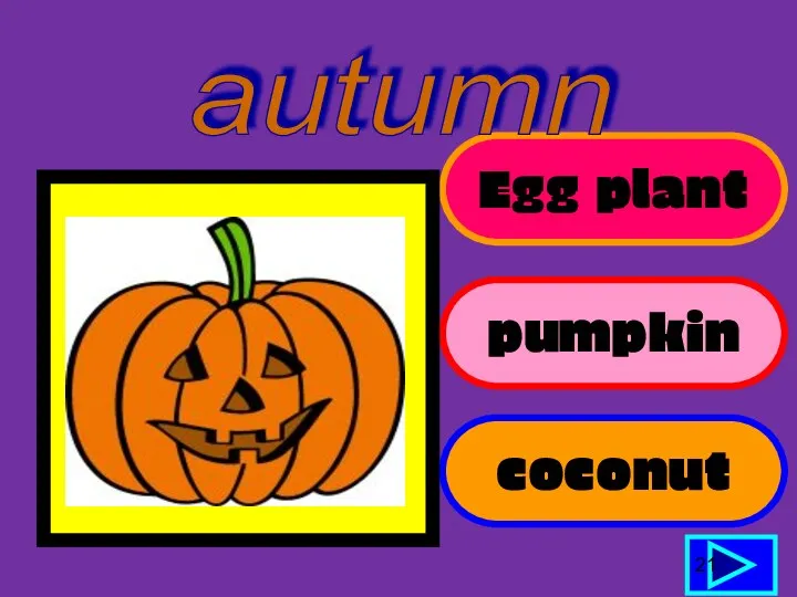 Egg plant pumpkin coconut 21 autumn