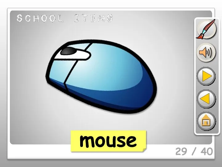 29 / 40 mouse