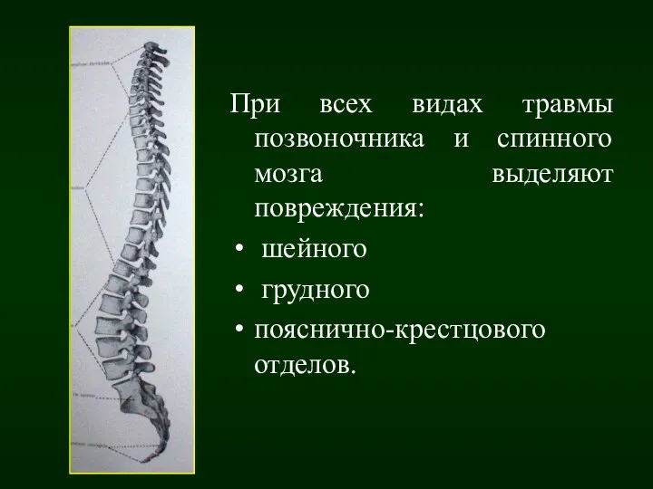 При всех видах травмы позвоночника и спинного мозга выделяют повреждения: шейного грудного пояснично-крестцового отделов.