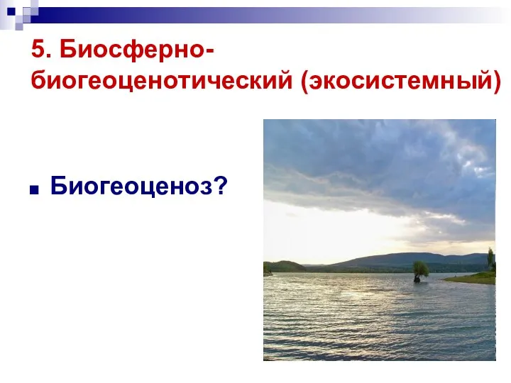 5. Биосферно- биогеоценотический (экосистемный) Биогеоценоз?