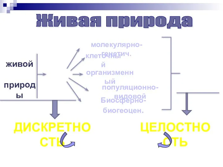 живой природы уровни клеточный молекулярно-генетич. организменный популяционно-видовой Биосферно-биогеоцен. Взаимо- связь (иерархия) ДИСКРЕТНОСТЬ ЦЕЛОСТНОСТЬ Свойства Живая природа