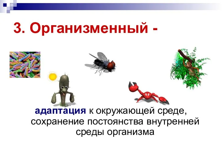 3. Организменный - адаптация к окружающей среде, сохранение постоянства внутренней среды организма