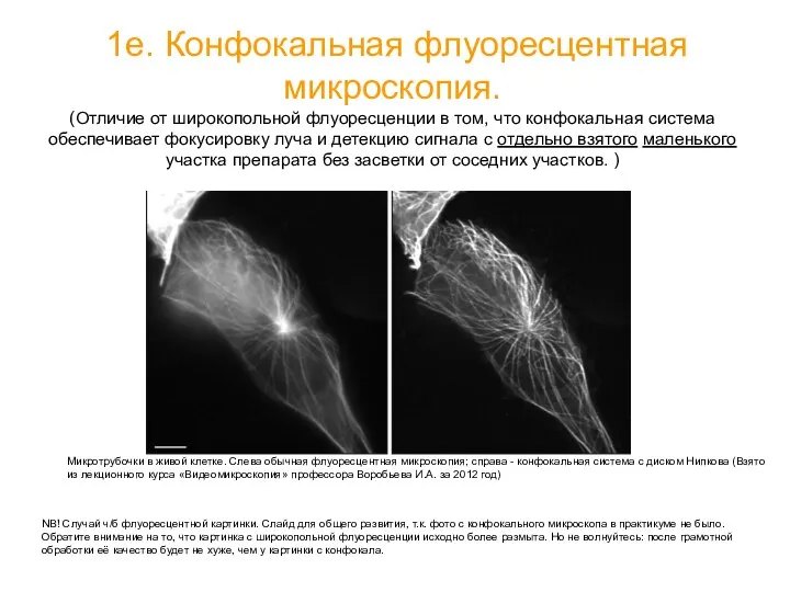 1е. Конфокальная флуоресцентная микроскопия. (Отличие от широкопольной флуоресценции в том, что