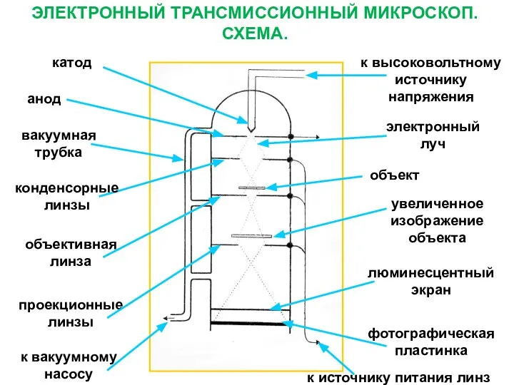 ЭЛЕКТРОННЫЙ ТРАНСМИССИОННЫЙ МИКРОСКОП. СХЕМА. объект к высоковольтному источнику напряжения катод проекционные