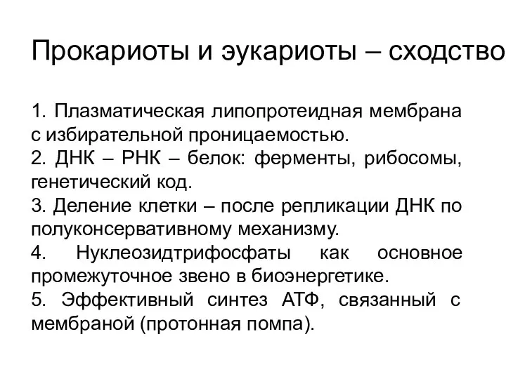 Прокариоты и эукариоты – сходство 1. Плазматическая липопротеидная мембрана с избирательной