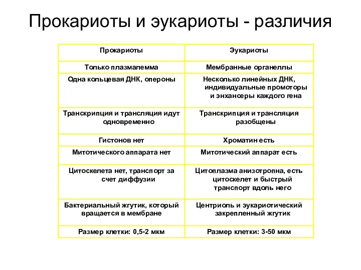 Прокариоты и эукариоты - различия