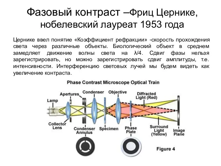 Фазовый контраст –Фриц Цернике, нобелевский лауреат 1953 года Цернике ввел понятие