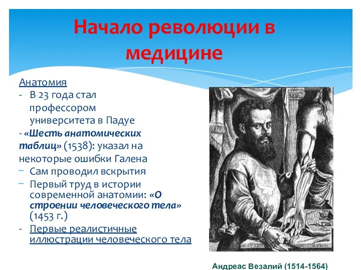 Начало революции в медицине Анатомия - В 23 года стал профессором