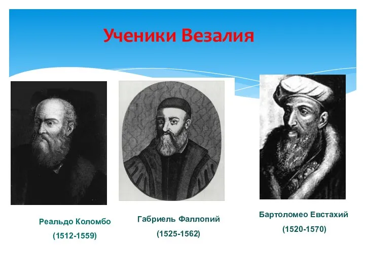 Ученики Везалия Реальдо Коломбо (1512-1559) Габриель Фаллопий (1525-1562) Бартоломео Евстахий (1520-1570)