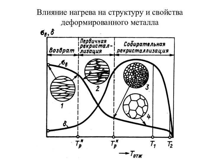 Влияние нагрева на структуру и свойства деформированного металла