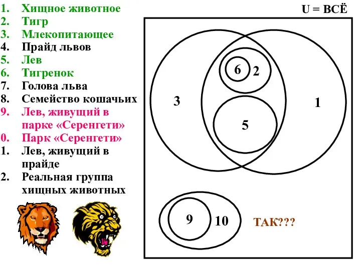 Хищное животное Тигр Млекопитающее Прайд львов Лев Тигренок Голова льва Семейство