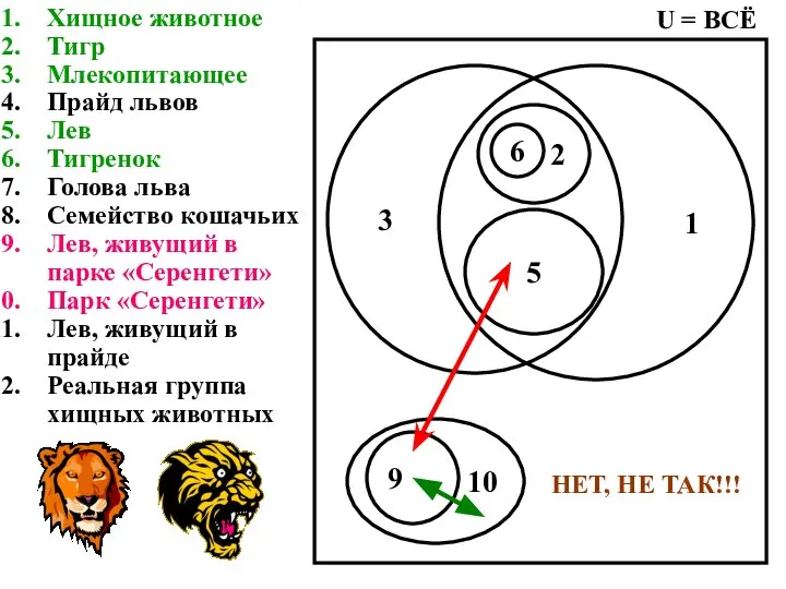 Хищное животное Тигр Млекопитающее Прайд львов Лев Тигренок Голова льва Семейство