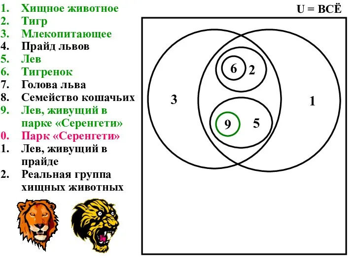 Хищное животное Тигр Млекопитающее Прайд львов Лев Тигренок Голова льва Семейство