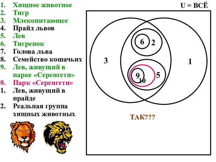 Хищное животное Тигр Млекопитающее Прайд львов Лев Тигренок Голова льва Семейство