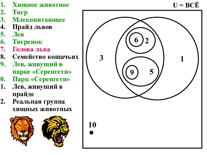 Хищное животное Тигр Млекопитающее Прайд львов Лев Тигренок Голова льва Семейство