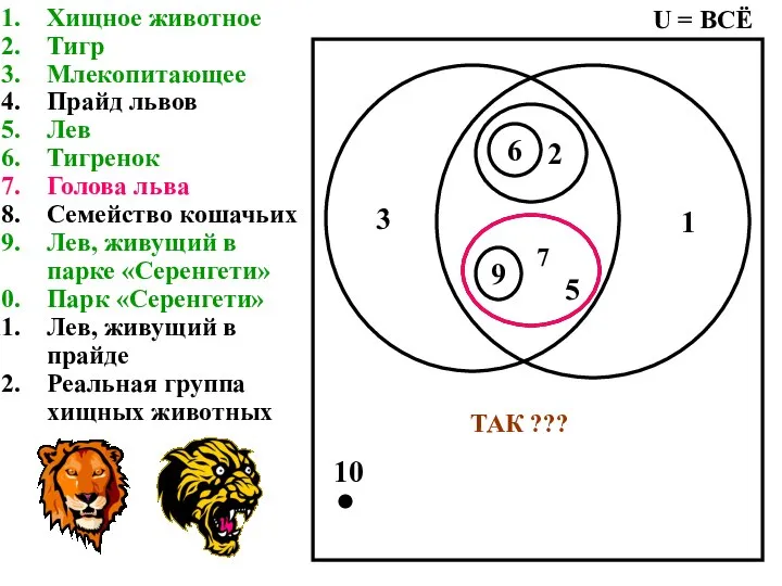 Хищное животное Тигр Млекопитающее Прайд львов Лев Тигренок Голова льва Семейство