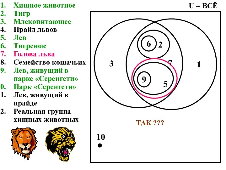 Хищное животное Тигр Млекопитающее Прайд львов Лев Тигренок Голова льва Семейство