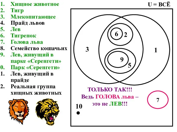 Хищное животное Тигр Млекопитающее Прайд львов Лев Тигренок Голова льва Семейство