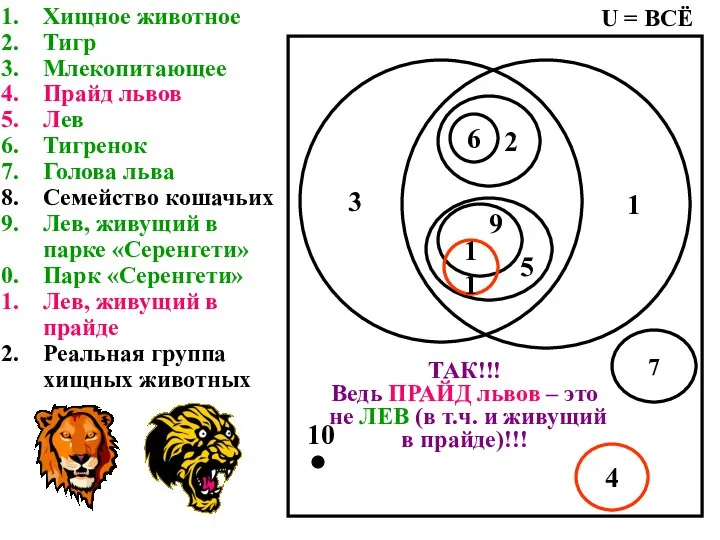 Хищное животное Тигр Млекопитающее Прайд львов Лев Тигренок Голова льва Семейство