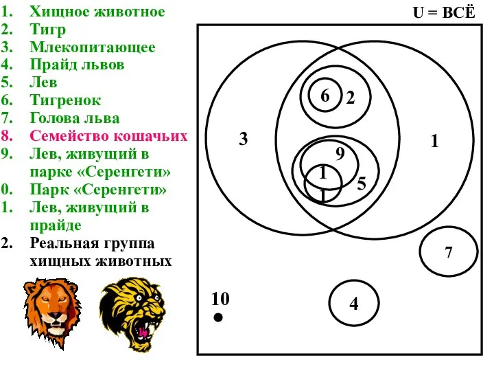 Хищное животное Тигр Млекопитающее Прайд львов Лев Тигренок Голова льва Семейство