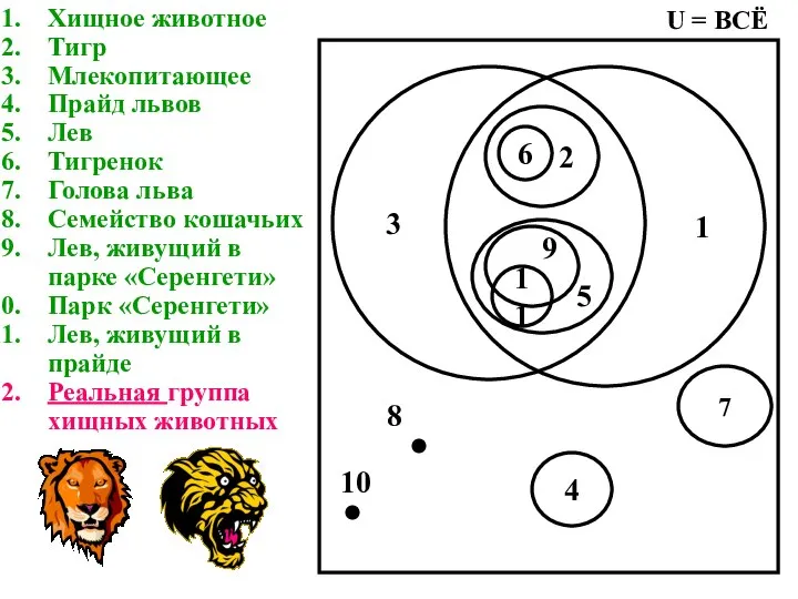 Хищное животное Тигр Млекопитающее Прайд львов Лев Тигренок Голова льва Семейство