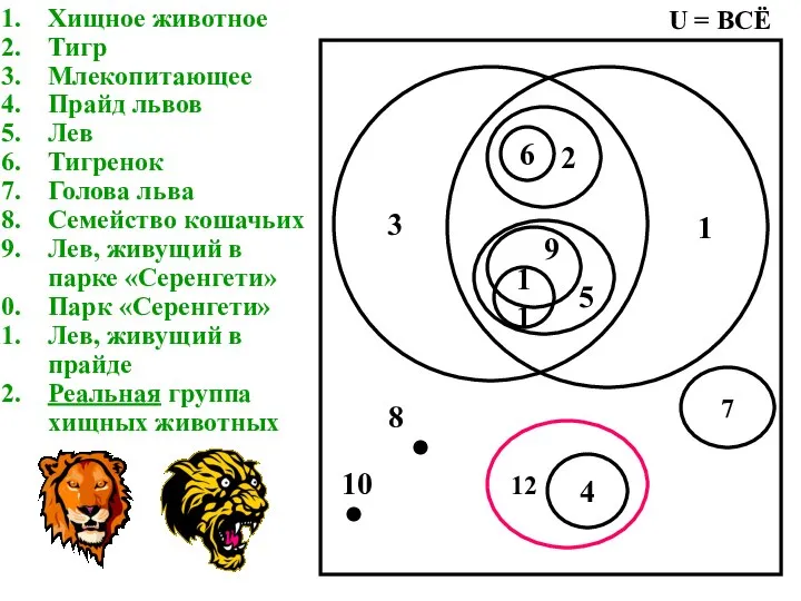 Хищное животное Тигр Млекопитающее Прайд львов Лев Тигренок Голова льва Семейство