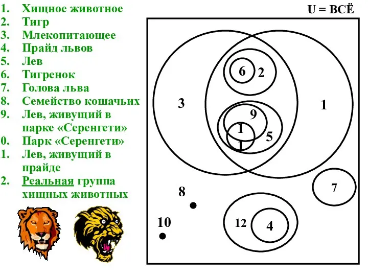 Хищное животное Тигр Млекопитающее Прайд львов Лев Тигренок Голова льва Семейство