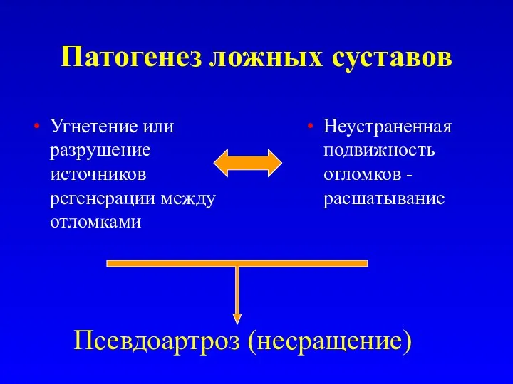 Патогенез ложных суставов Угнетение или разрушение источников регенерации между отломками Неустраненная