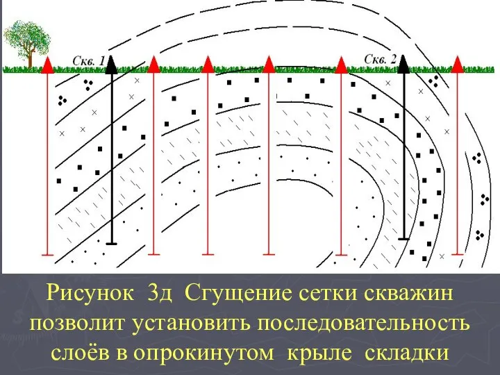 Рисунок 3д Сгущение сетки скважин позволит установить последовательность слоёв в опрокинутом крыле складки