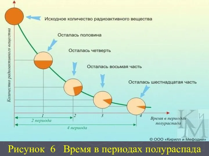 Рисунок 6 Время в периодах полураспада