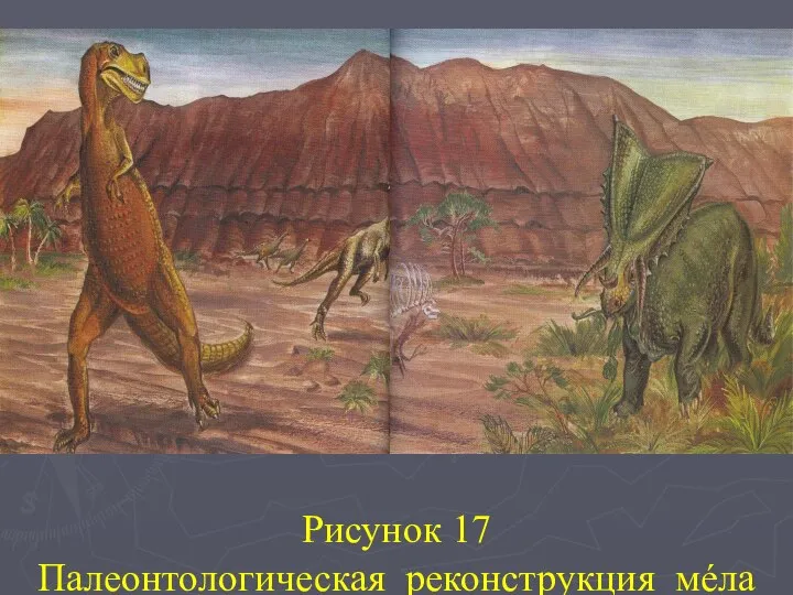 Рисунок 17 Палеонтологическая реконструкция мéла