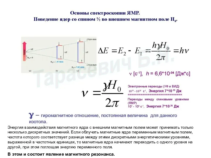 Энергия взаимодействия магнитного ядра с внешним магнитным полем может принимать только