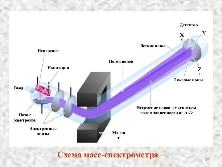 Ввод Испарение Ионизация Поток электронов Электронные линзы Магнит Поток ионов Разделение