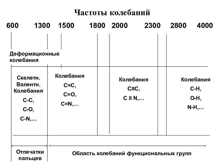 600 1300 1500 1800 2000 2300 2800 4000 Область колебаний функциональных