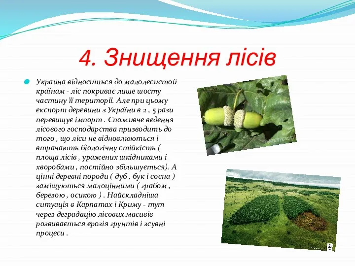 4. Знищення лісів Украина відноситься до малолесистой країнам - ліс покриває