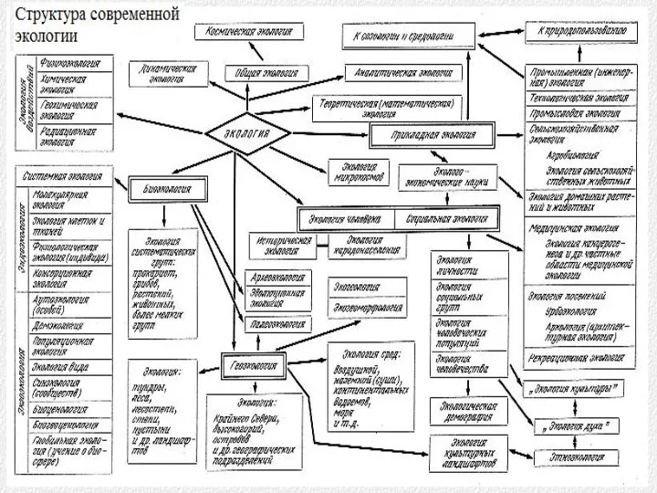 КУЛЬТУРА экософия; экологическое право; экологическое образование и воспитание СОЦИОЛОГИЯ социальная экология