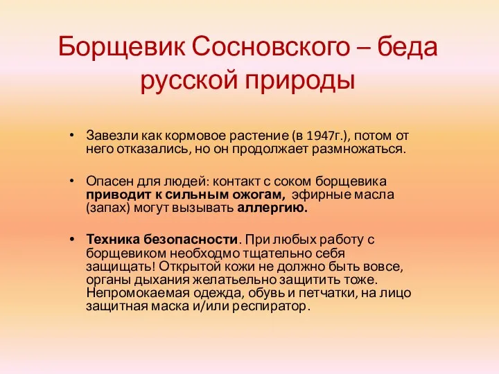 Борщевик Сосновского – беда русской природы Завезли как кормовое растение (в