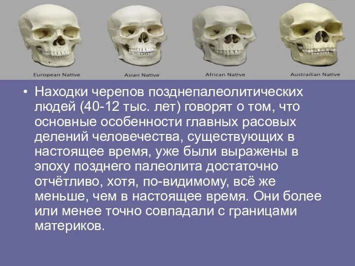 Находки черепов позднепалеолитических людей (40-12 тыс. лет) говорят о том, что