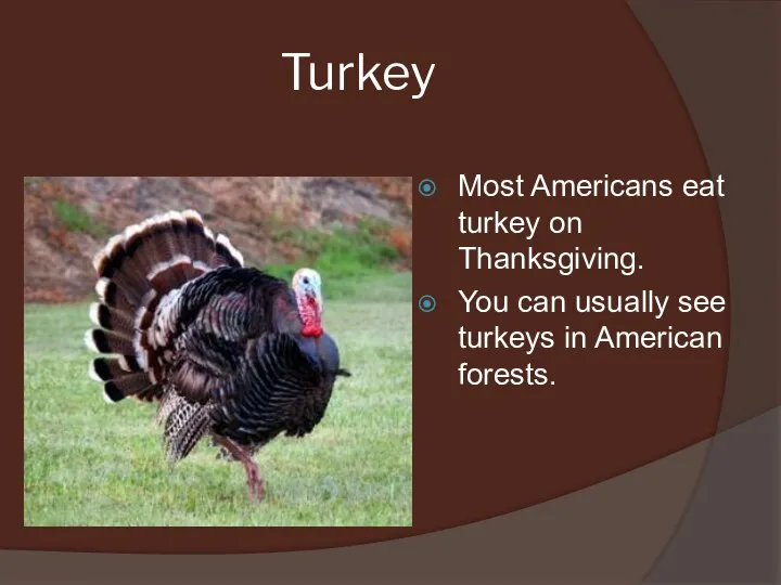 Turkey Most Americans eat turkey on Thanksgiving. You can usually see turkeys in American forests.