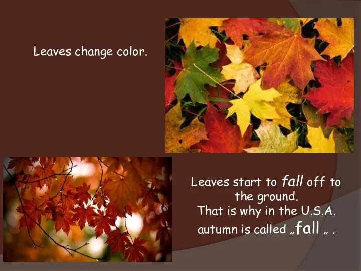 Leaves change color. Leaves start to fall off to the ground.