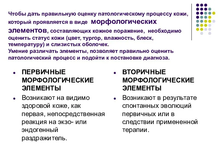 ПЕРВИЧНЫЕ МОРФОЛОГИЧЕСКИЕ ЭЛЕМЕНТЫ Возникают на видимо здоровой коже, как первая, непосредственная