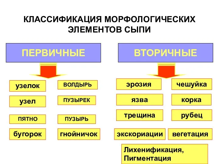 КЛАССИФИКАЦИЯ МОРФОЛОГИЧЕСКИХ ЭЛЕМЕНТОВ СЫПИ ПЕРВИЧНЫЕ ВТОРИЧНЫЕ ВОЛДЫРЬ узелок гнойничок ПУЗЫРЬ ПУЗЫРЕК