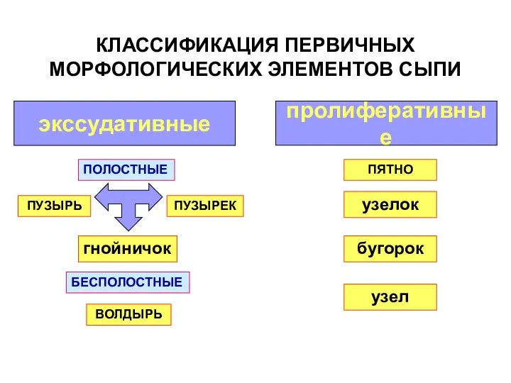 КЛАССИФИКАЦИЯ ПЕРВИЧНЫХ МОРФОЛОГИЧЕСКИХ ЭЛЕМЕНТОВ СЫПИ экссудативные пролиферативные ПЯТНО узелок гнойничок ПУЗЫРЬ