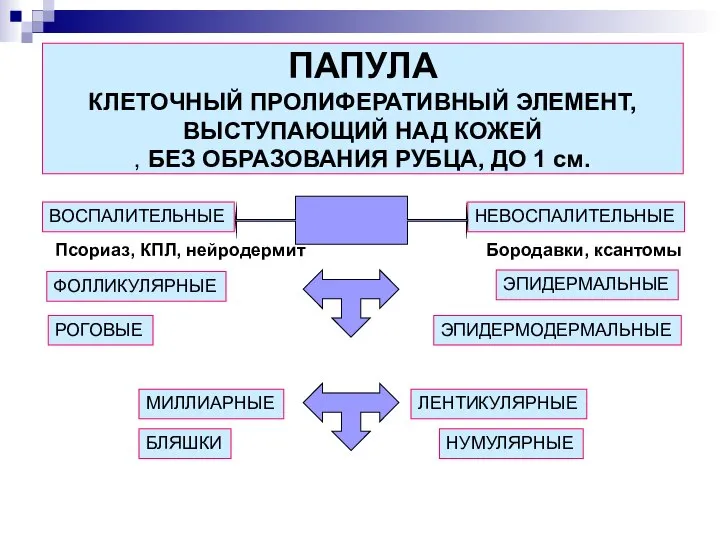 ПАПУЛА КЛЕТОЧНЫЙ ПРОЛИФЕРАТИВНЫЙ ЭЛЕМЕНТ, ВЫСТУПАЮЩИЙ НАД КОЖЕЙ , БЕЗ ОБРАЗОВАНИЯ РУБЦА,