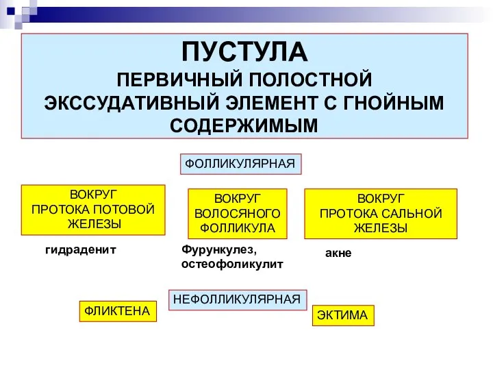 ПУСТУЛА ПЕРВИЧНЫЙ ПОЛОСТНОЙ ЭКССУДАТИВНЫЙ ЭЛЕМЕНТ С ГНОЙНЫМ СОДЕРЖИМЫМ ФОЛЛИКУЛЯРНАЯ НЕФОЛЛИКУЛЯРНАЯ ВОКРУГ