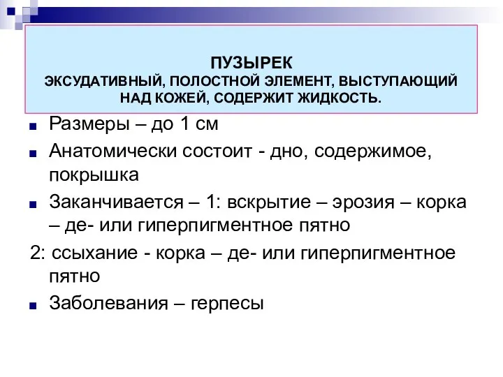 ПУЗЫРЕК ЭКСУДАТИВНЫЙ, ПОЛОСТНОЙ ЭЛЕМЕНТ, ВЫСТУПАЮЩИЙ НАД КОЖЕЙ, СОДЕРЖИТ ЖИДКОСТЬ. Размеры –